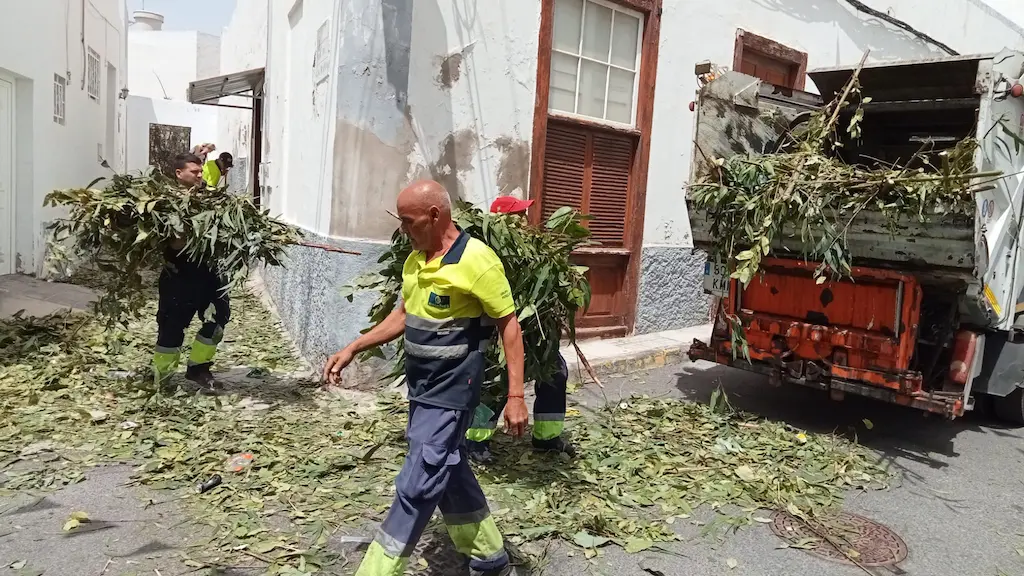 imagen de Servicios urbanos