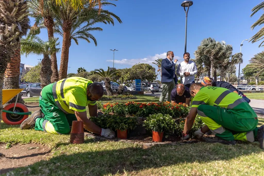imagen de Jardinería y paisajismo